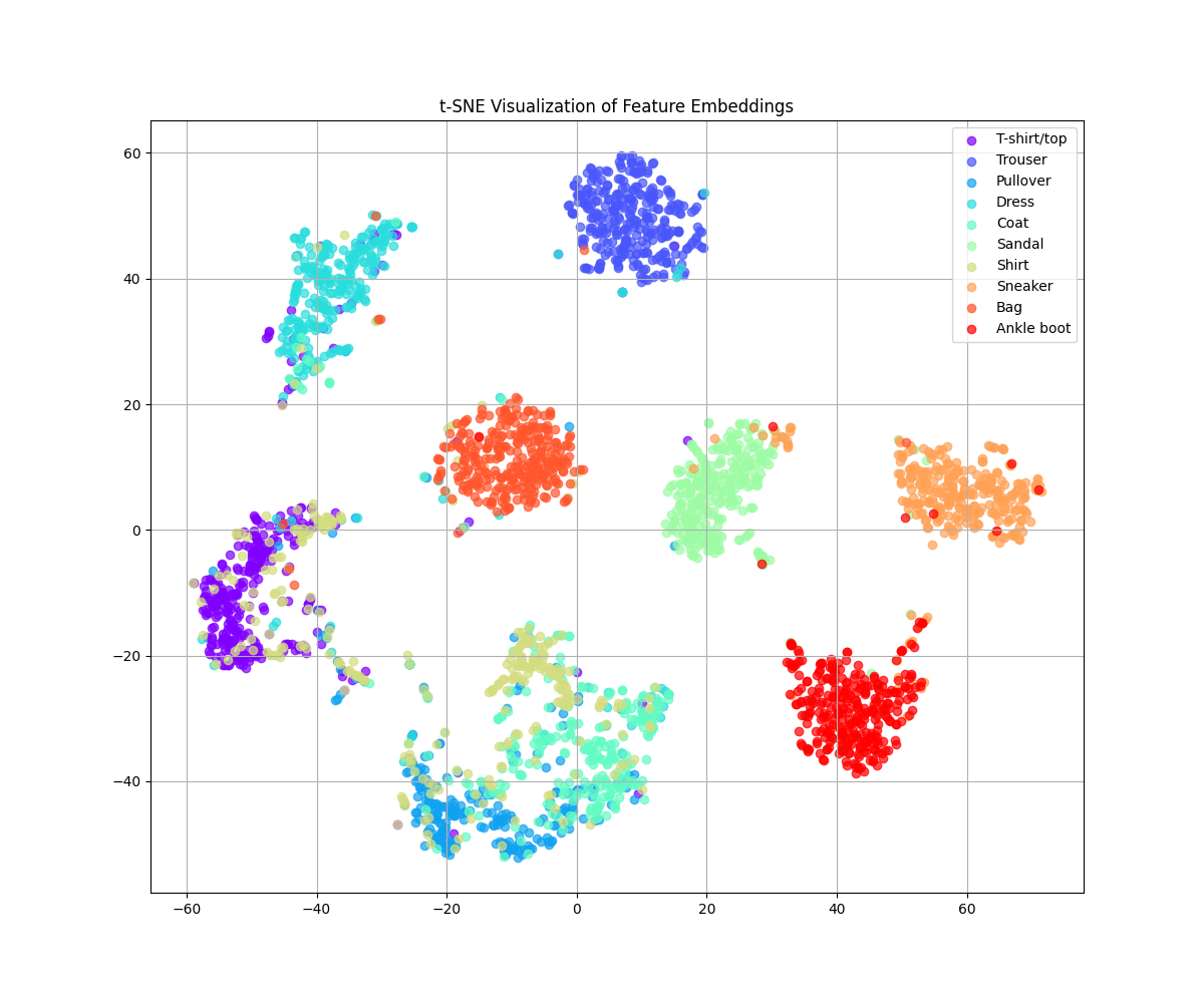 t-SNE Visualization